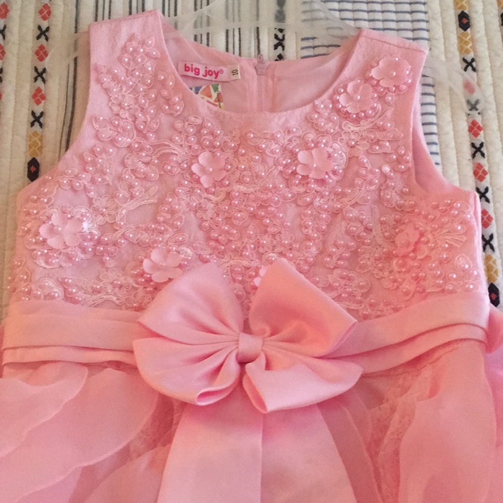Pink Dress - Picture 3 of 16